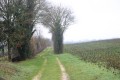Chemin sur l'ancien tracé de la voie ferrée Niort - Ruffec