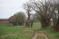 Chemin d'exploitation sur le plateau entre le bois de Fréteveau et le Bois de la Garde