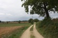 Chemin d'exploitation sur le plateau Mellois