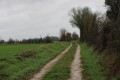 Sur le plateau près d'Etrochon
