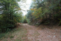 Grenzpfad vom Col du Litschhof nach Nothweiler