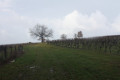 Chemin