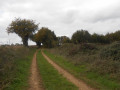Chemin