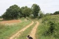 Chemin d'exploitation