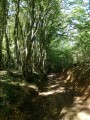 chemin d'exploitation