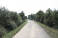 Chemin d'exploitation