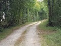 Chemin d'exploitation