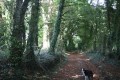 Chemin d'exploitation