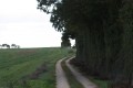 Chemin d'exploitation