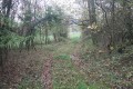 Chemin d'exploitation