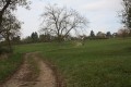 Chemin d'exploitation