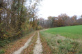 Chemin