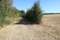 Chemin
