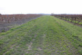 Chemin