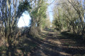 Chemin