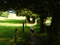 Chemin dallé Chemin dallé