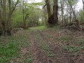 Chemin dans la Châtaigneraie de la Place