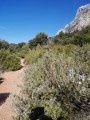 La Sainte-Victoire durch das Gestein von Clapier