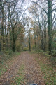 Chemin dans le Bois du Sablon