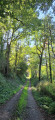 Chemin dans les bois sur les hauteurs du Moulin Lasnier