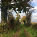 Chemin dans les champs