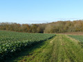 La Vallée de la Drouette entre Épernon et Nigelles