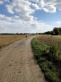 Chemin dans les champs