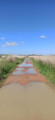 path through the dunes