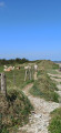 Path through the dunes