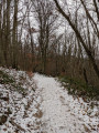 Chemin dans les Monts du Lyonnais