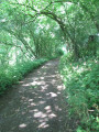 Sentier du moulin de la Salmagne à Bettignies