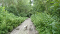 chemin de béthléem