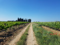 Chemin de campagne