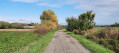 Chemin de campagne