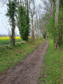chemin de campagne