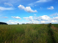 Chemin de champs Chemin de champs
