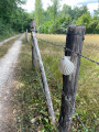 Chemin de compostelle en dordogne