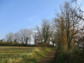 Les Coteaux de Carlus Les Coteaux de Carlus