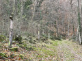 Chemin de croix