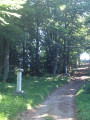 Chemin de croix