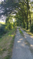 Chemin de halage de l'Adour Chemin de halage de l'Adour