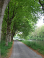 Chemin de halage