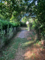 Chemin de l'Aulne du creux