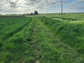 Chemin de la Bergerie