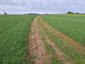 Chemin de la Bergerie