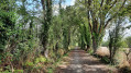 Circuit des Moulins depuis Grandchamps-des-Fontaines