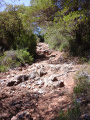 Chemin de la descente