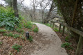 Chemin de la Font d'Avaou