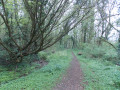 Chemin de la fontaine St Pierre
