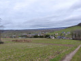 Chemin de la Forêt